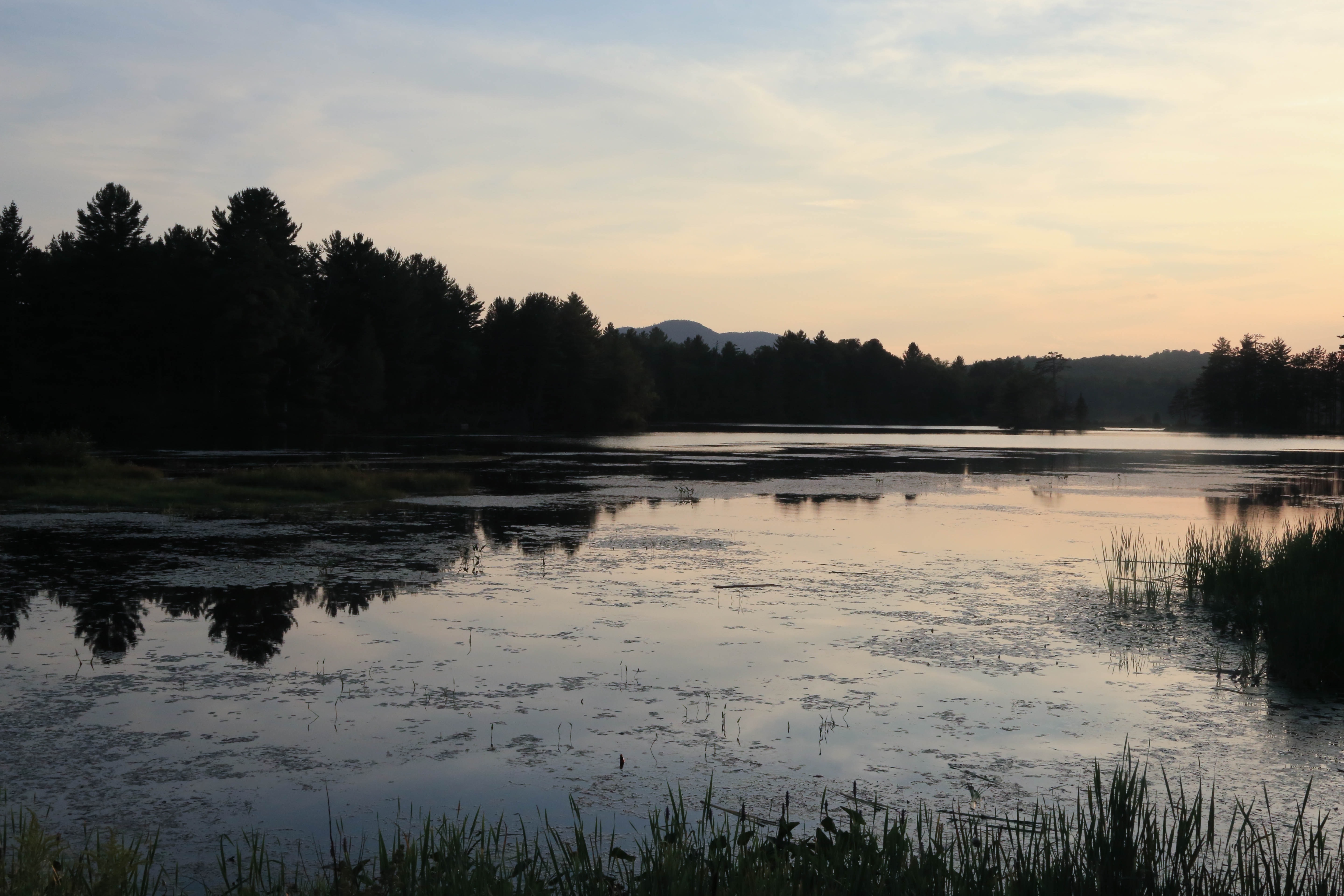 a lake at sunset surrounded by evergreens