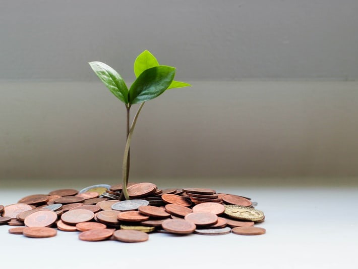 a plant sprouting from a pile of coins